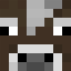 Server favicon