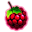 Server favicon