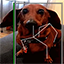 Server favicon