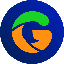 Server favicon