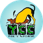 Server favicon