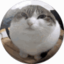 Server favicon