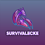 Server favicon
