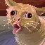 Server favicon