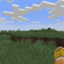 Server favicon