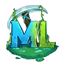Server favicon
