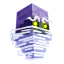 Server favicon