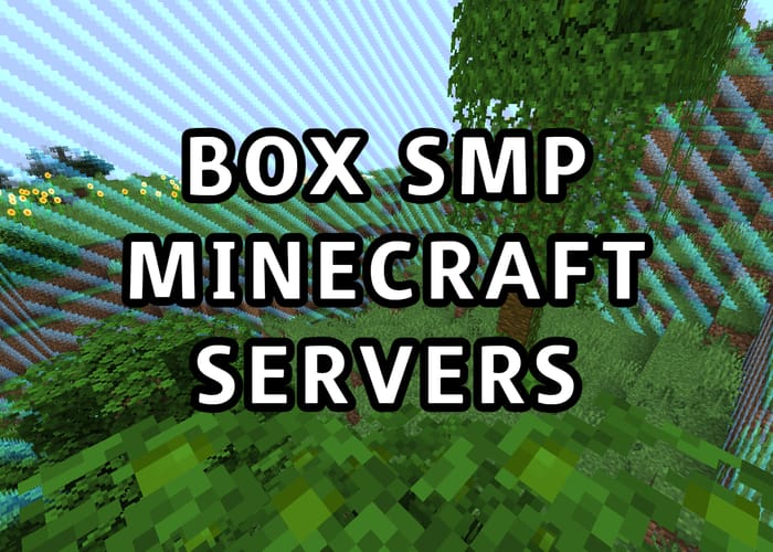 3 best Minecraft Box SMP Servers to play