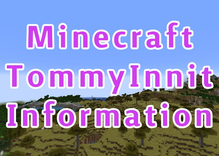 Is there a Minecraft TommyInnit server IP? Everything to know